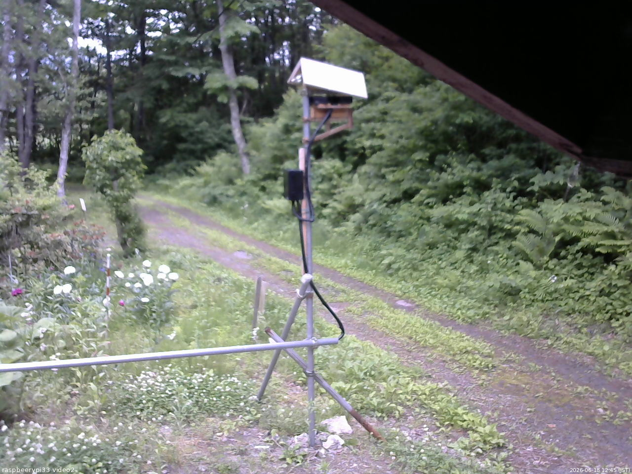 長野県菅平高原 ゆたか山荘 南側 2026/06/18 12:45