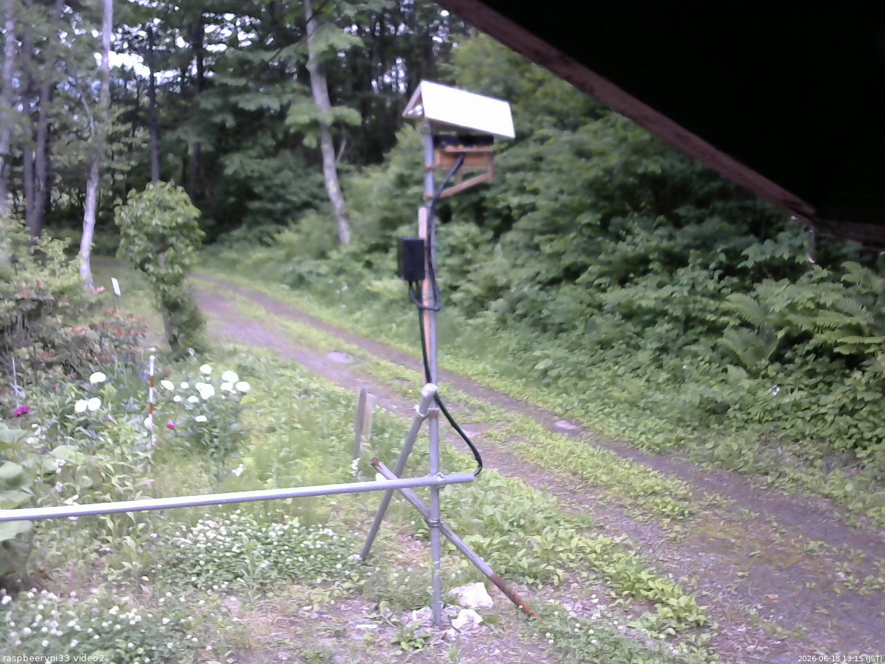 長野県菅平高原 ゆたか山荘 南側 2026/06/18 13:15
