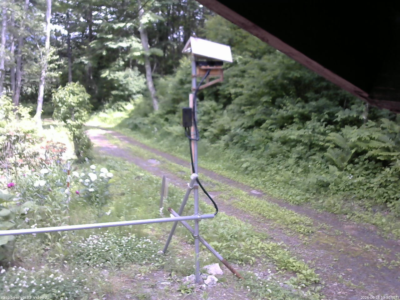 長野県菅平高原 ゆたか山荘 南側 2026/06/18 13:30