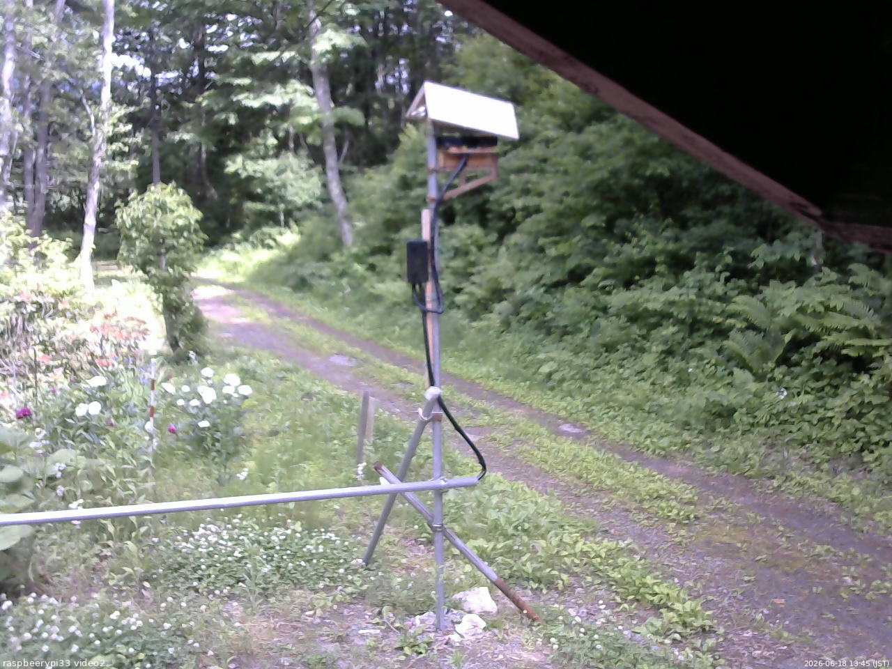 長野県菅平高原 ゆたか山荘 南側 2026/06/18 13:45