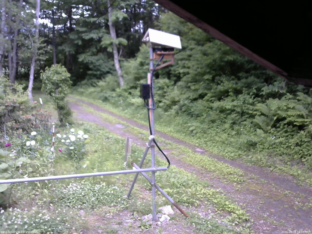 長野県菅平高原 ゆたか山荘 南側 2026/06/18 14:15