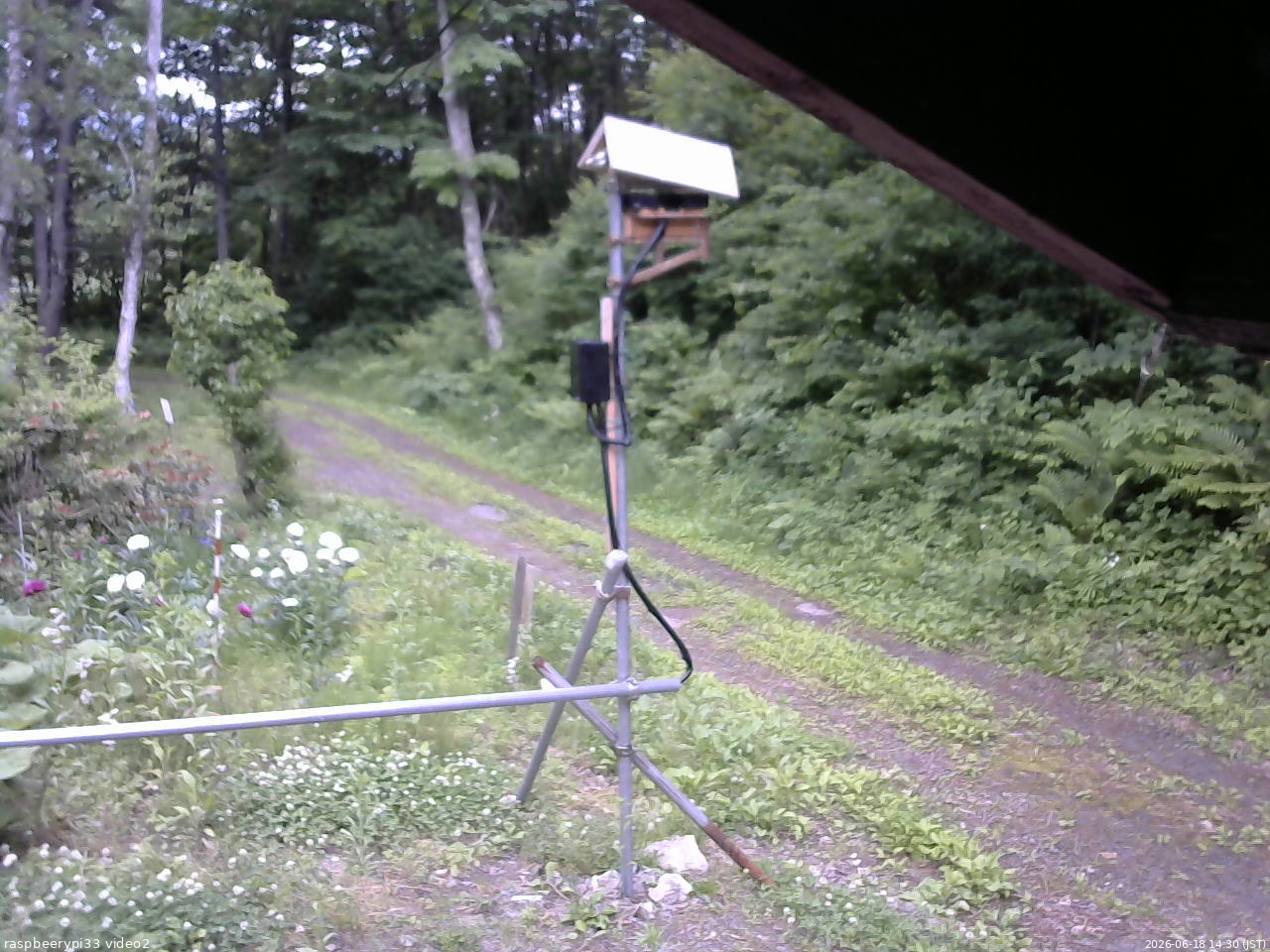 長野県菅平高原 ゆたか山荘 南側 2026/06/18 14:30