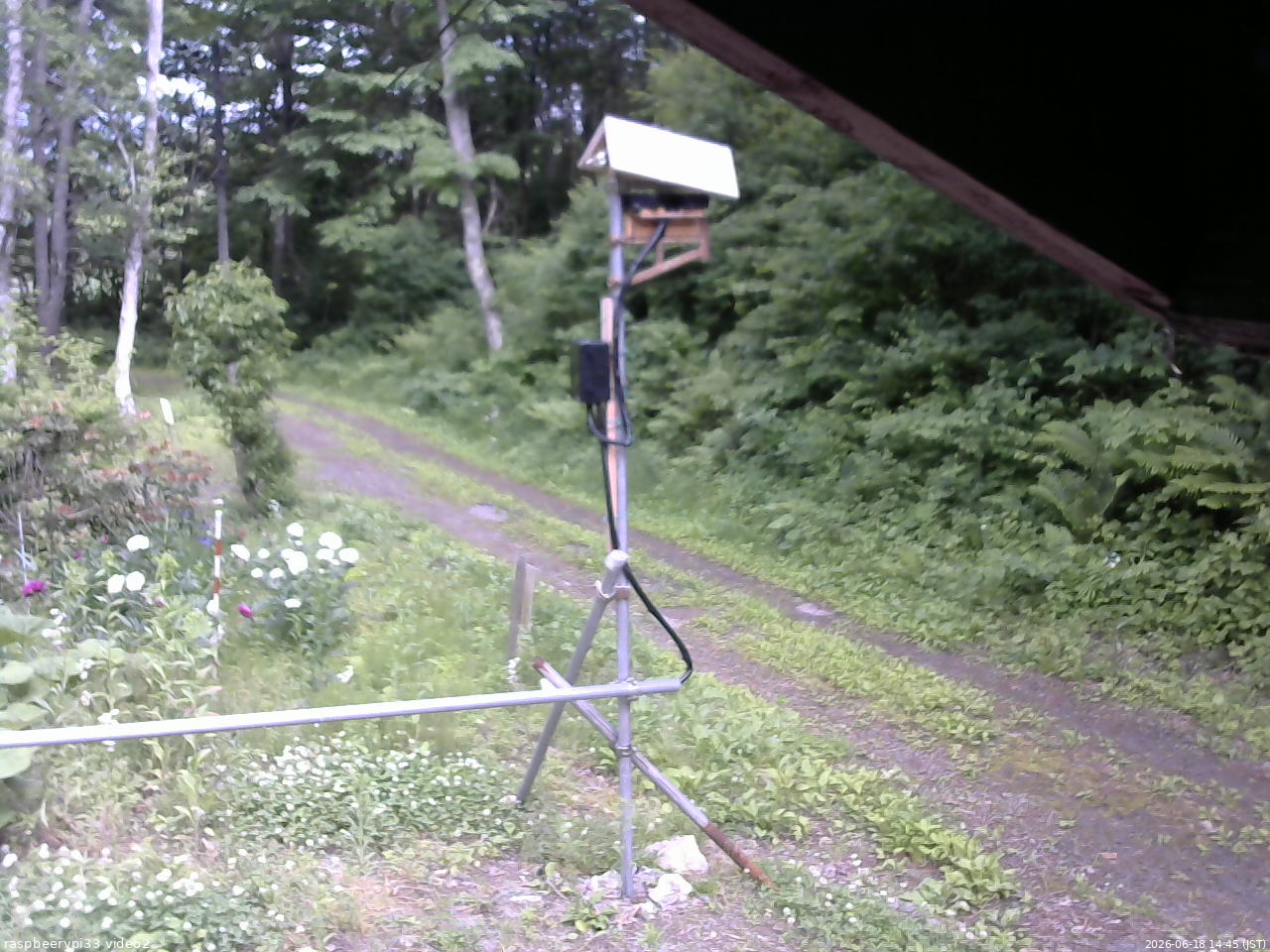長野県菅平高原 ゆたか山荘 南側 2026/06/18 14:45