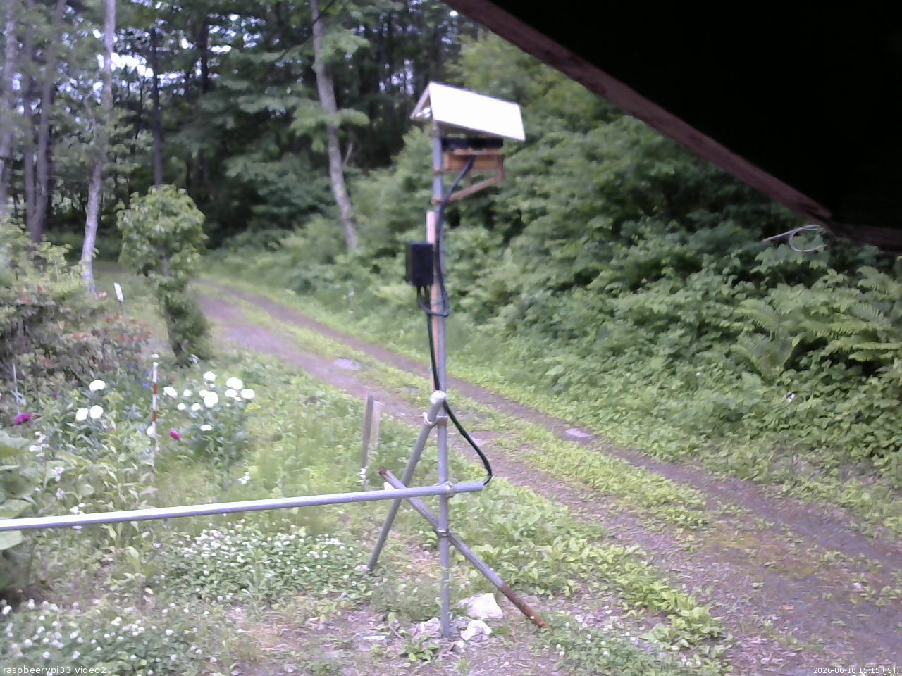 長野県菅平高原 ゆたか山荘 南側 2026/06/18 15:15
