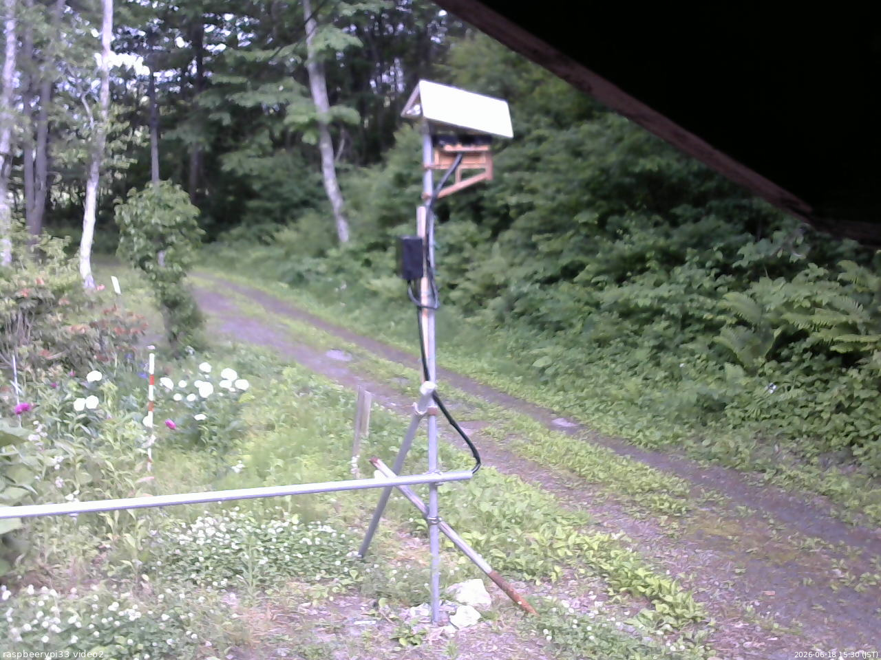 長野県菅平高原 ゆたか山荘 南側 2026/06/18 15:30