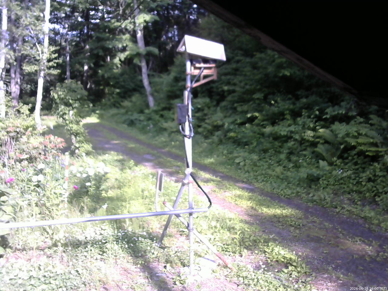 長野県菅平高原 ゆたか山荘 南側 2026/06/18 16:00