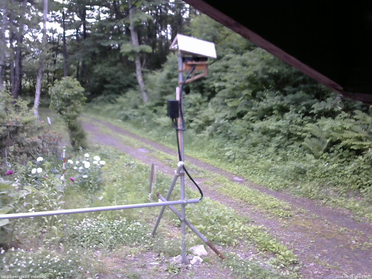 長野県菅平高原 ゆたか山荘 南側 2026/06/18 16:15