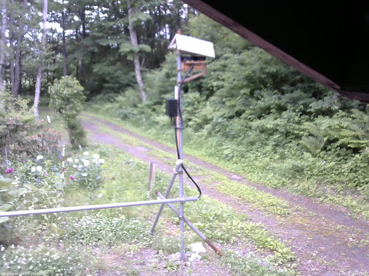 長野県菅平高原 ゆたか山荘 南側 2026/06/18 16:45