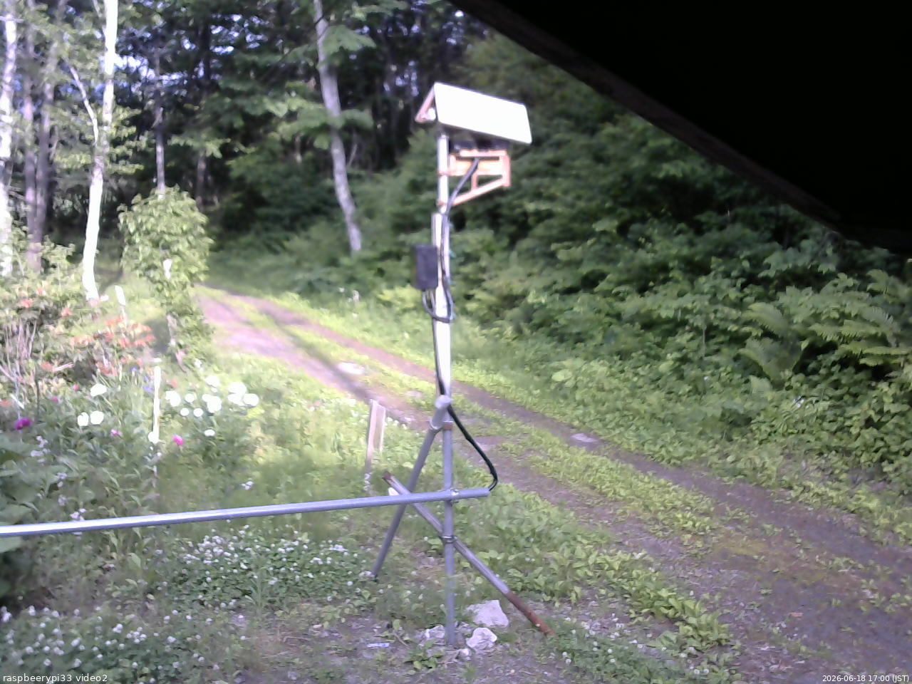 長野県菅平高原 ゆたか山荘 南側 2026/06/18 17:00