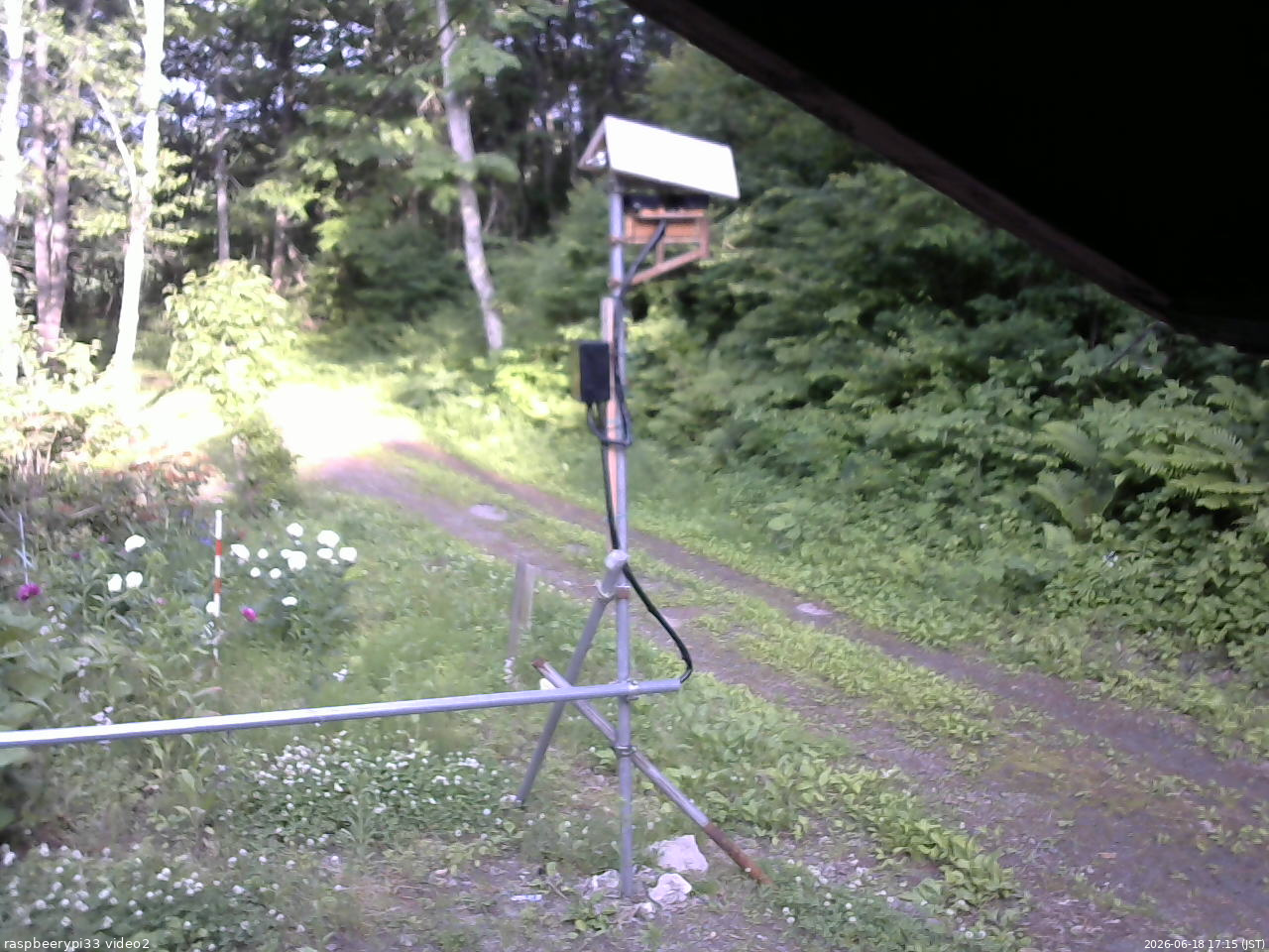 長野県菅平高原 ゆたか山荘 南側 2026/06/18 17:15