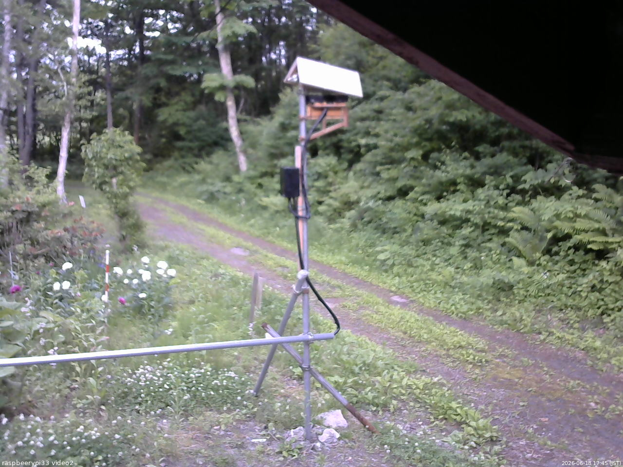 長野県菅平高原 ゆたか山荘 南側 2026/06/18 17:45