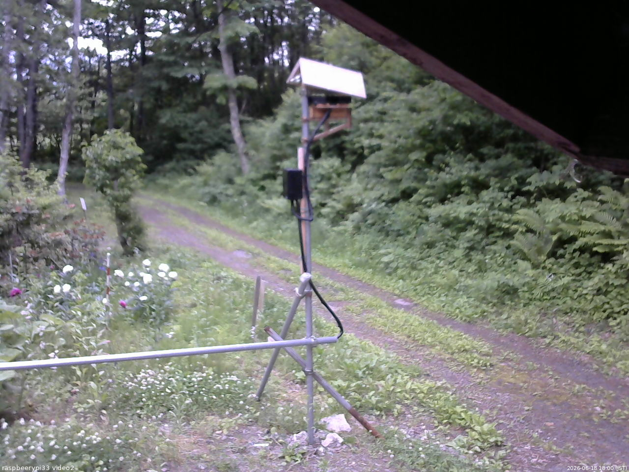 長野県菅平高原 ゆたか山荘 南側 2026/06/18 18:00