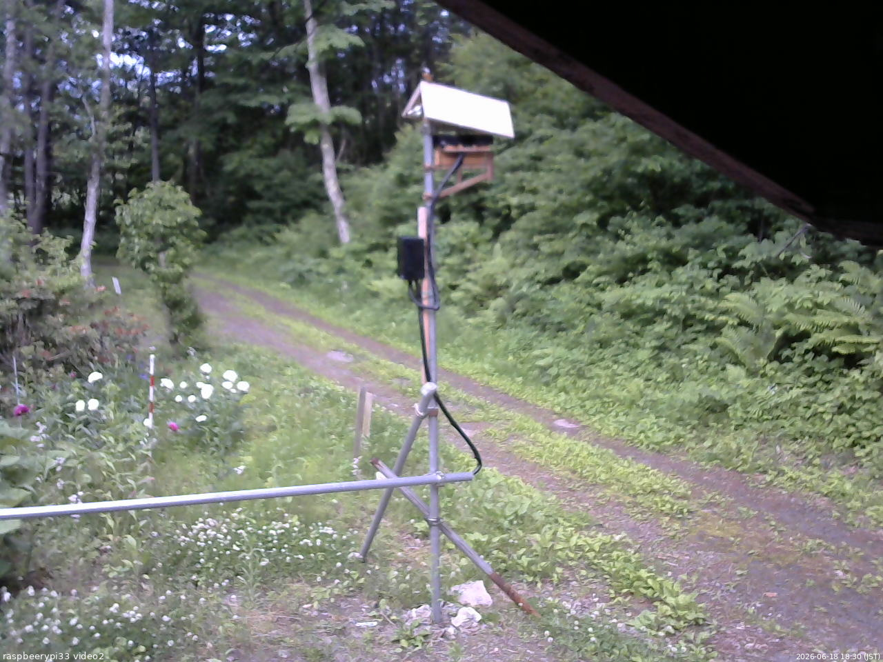 長野県菅平高原 ゆたか山荘 南側 2026/06/18 18:30