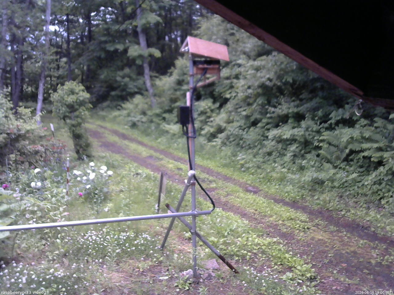長野県菅平高原 ゆたか山荘 南側 2026/06/18 19:00