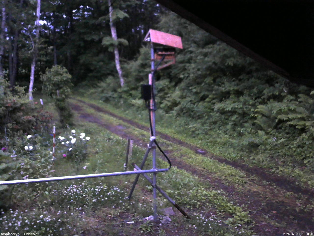 長野県菅平高原 ゆたか山荘 南側 2026/06/18 19:15