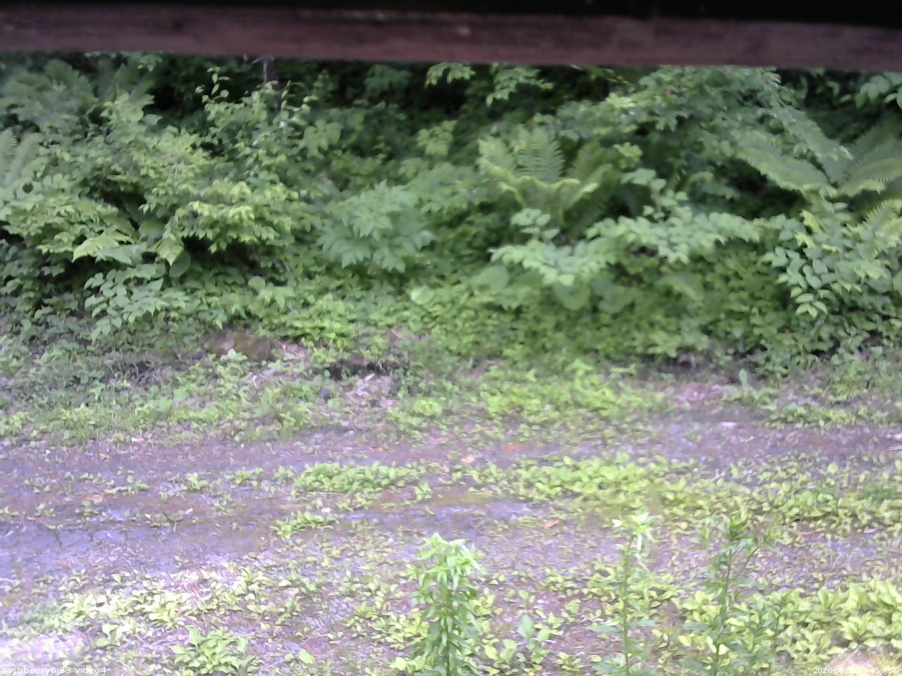 長野県菅平高原 ゆたか山荘 東側(坂下) 2026/06/18 13:45