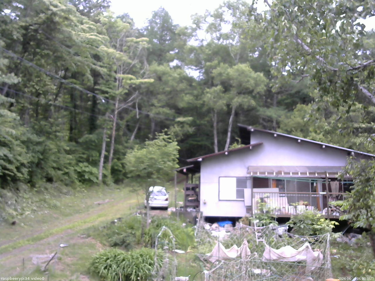 長野県菅平高原 ゆたか山荘 西側(坂上) 2026/06/18 06:00