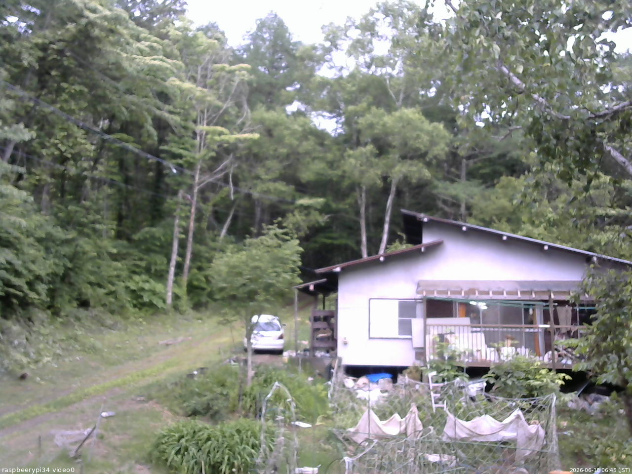 長野県菅平高原 ゆたか山荘 西側(坂上) 2026/06/18 06:45