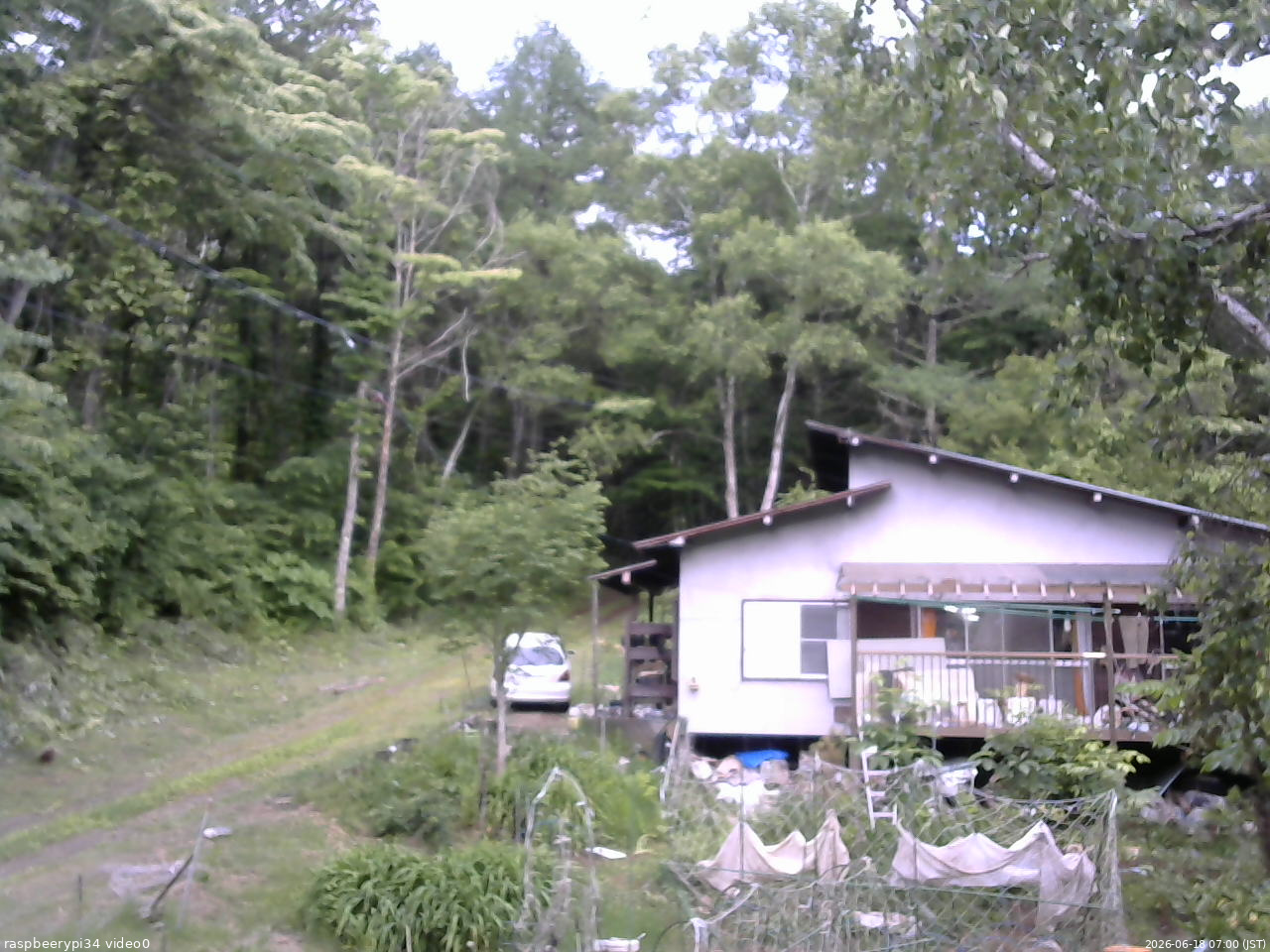 長野県菅平高原 ゆたか山荘 西側(坂上) 2026/06/18 07:00