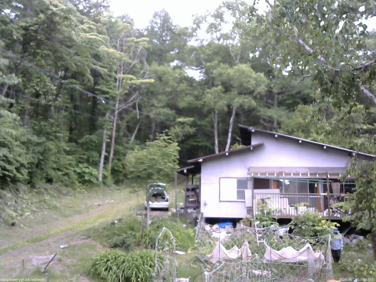 長野県菅平高原 ゆたか山荘 西側(坂上) 2026/06/18 13:00