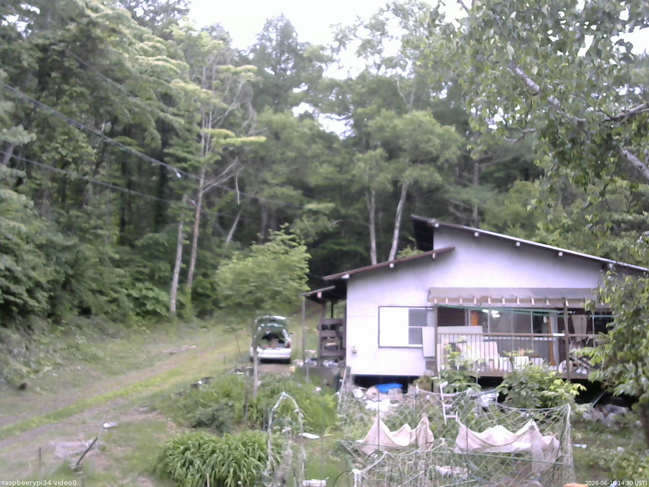 長野県菅平高原 ゆたか山荘 西側(坂上) 2026/06/18 14:30