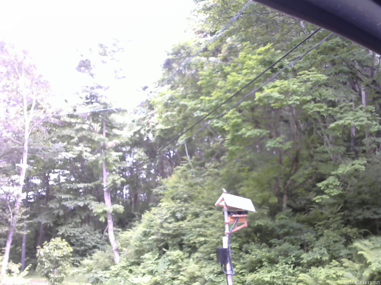 長野県菅平高原 ゆたか山荘 温度計 2026/06/18 14:15