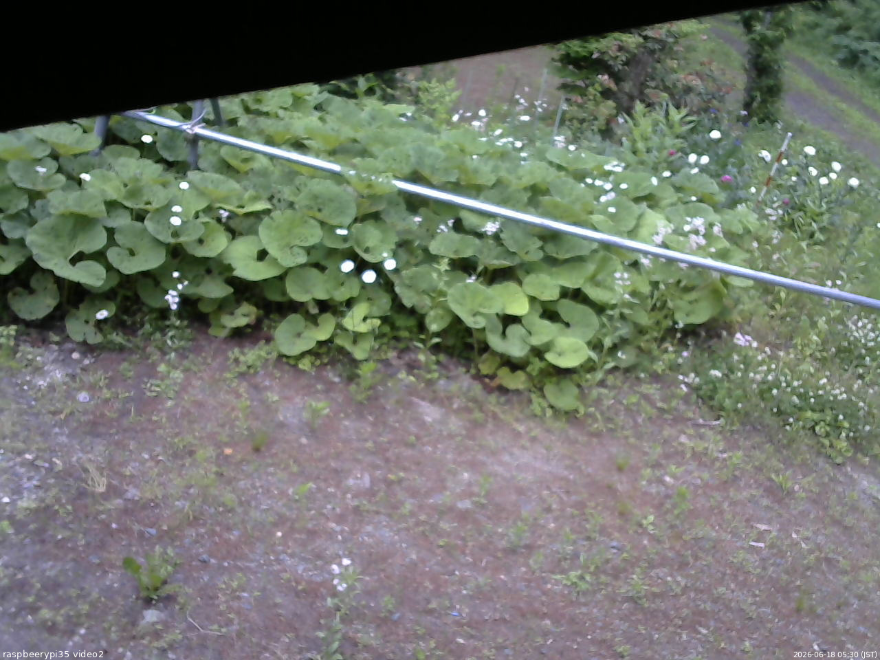 長野県菅平高原 ゆたか山荘 駐車場 2026/06/18 05:30