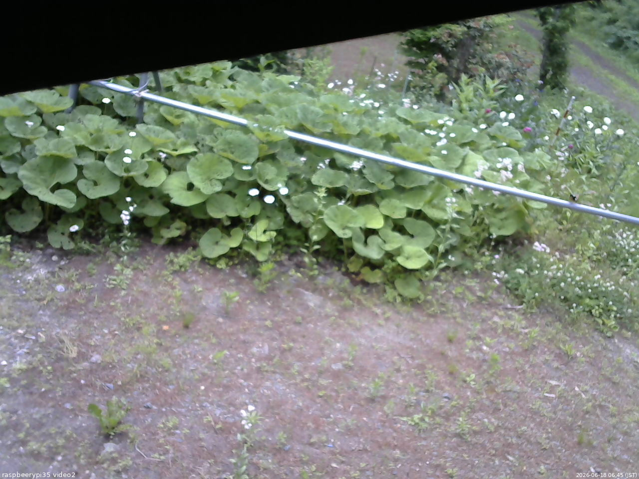 長野県菅平高原 ゆたか山荘 駐車場 2026/06/18 06:45