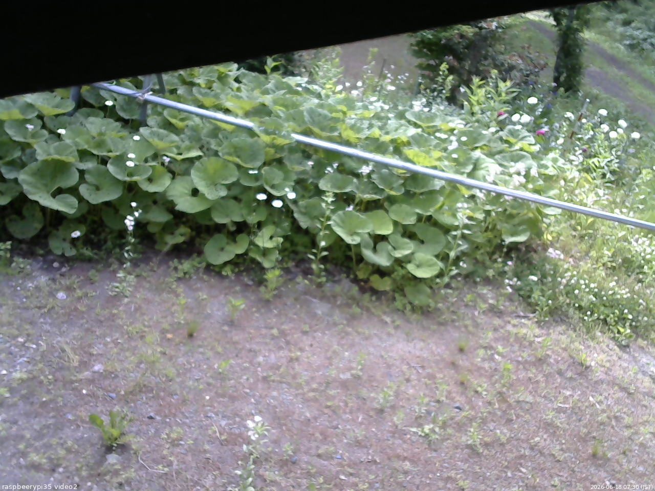 長野県菅平高原 ゆたか山荘 駐車場 2026/06/18 07:30