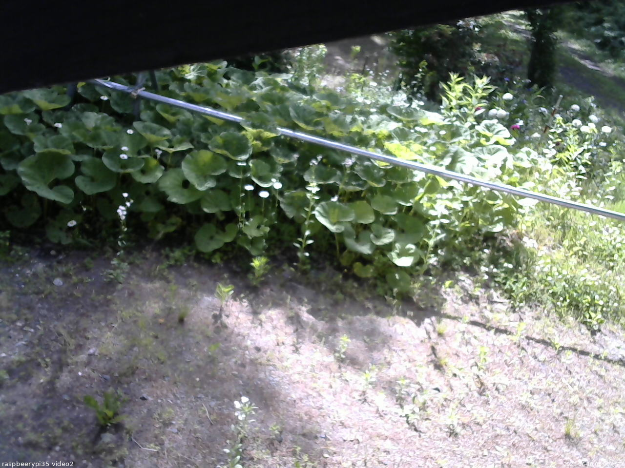 長野県菅平高原 ゆたか山荘 駐車場 2026/06/18 08:00