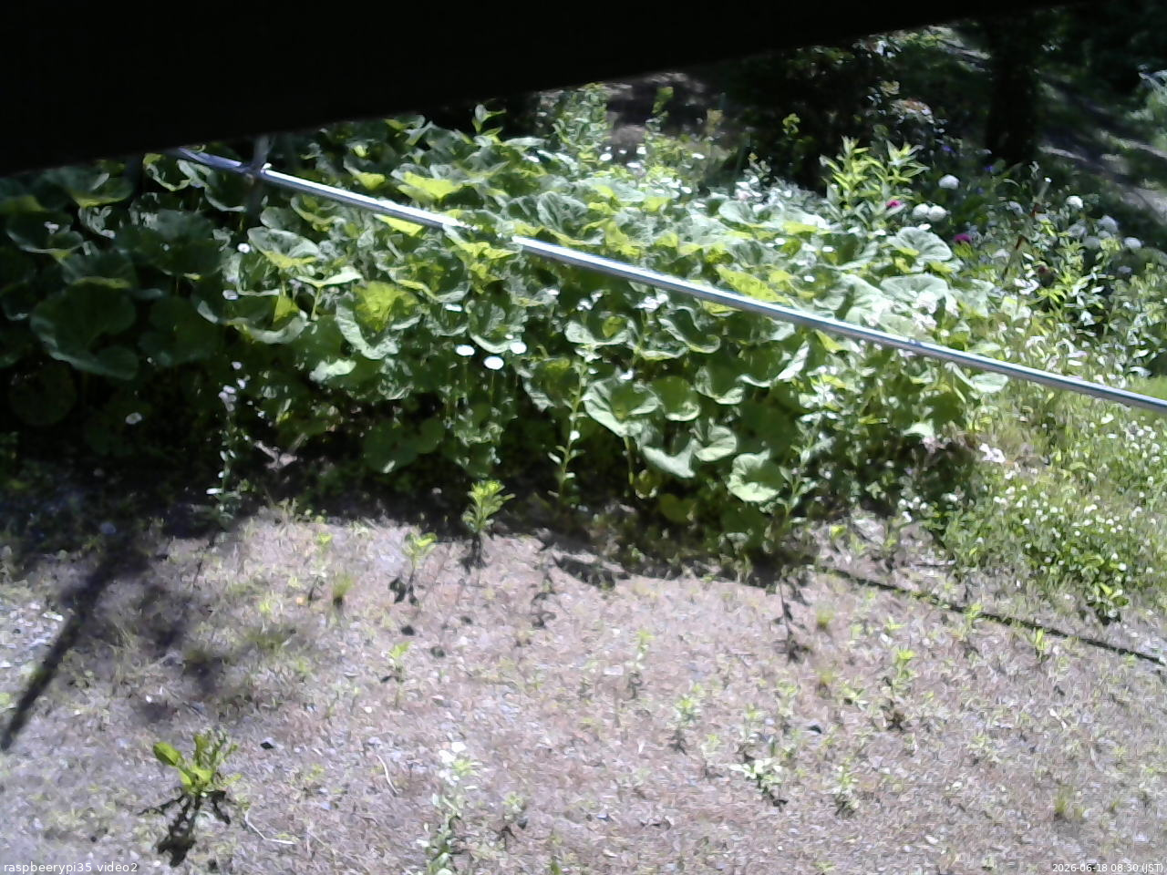 長野県菅平高原 ゆたか山荘 駐車場 2026/06/18 08:30