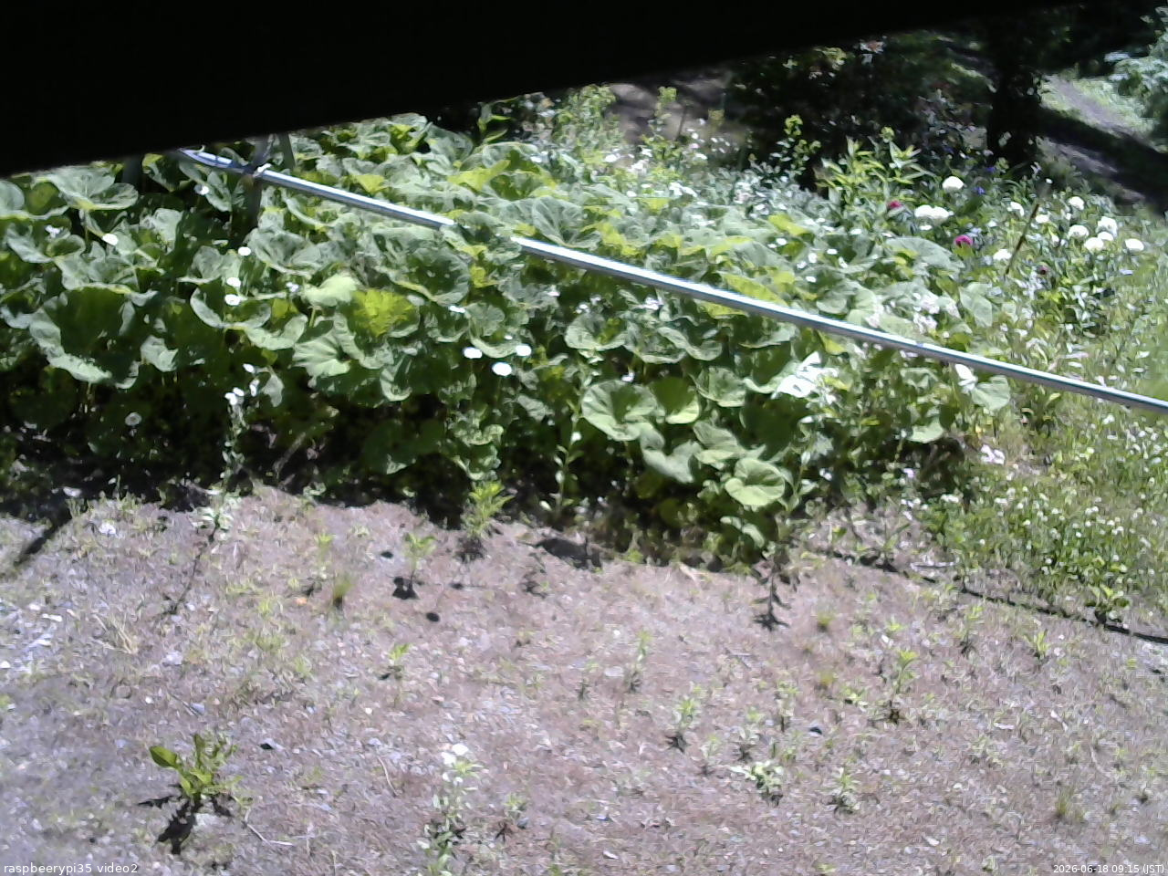 長野県菅平高原 ゆたか山荘 駐車場 2026/06/18 09:15