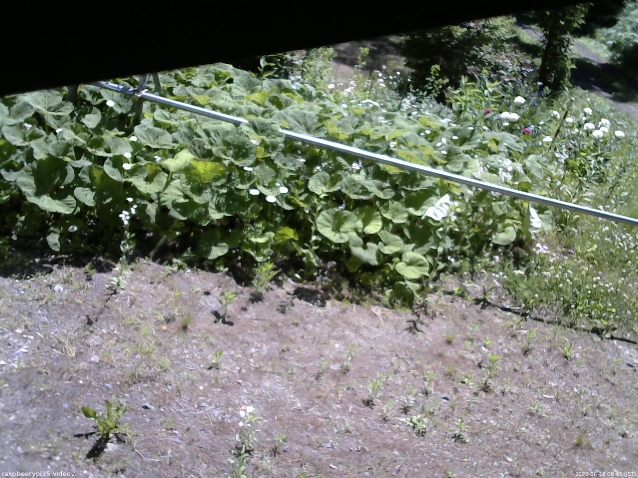長野県菅平高原 ゆたか山荘 駐車場 2026/06/18 09:45