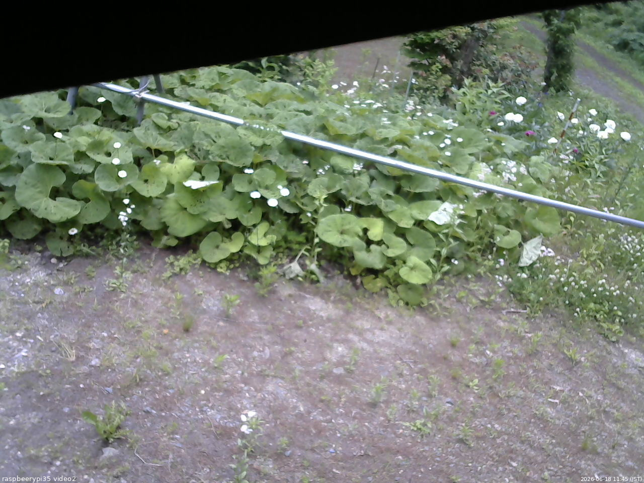 長野県菅平高原 ゆたか山荘 駐車場 2026/06/18 11:45