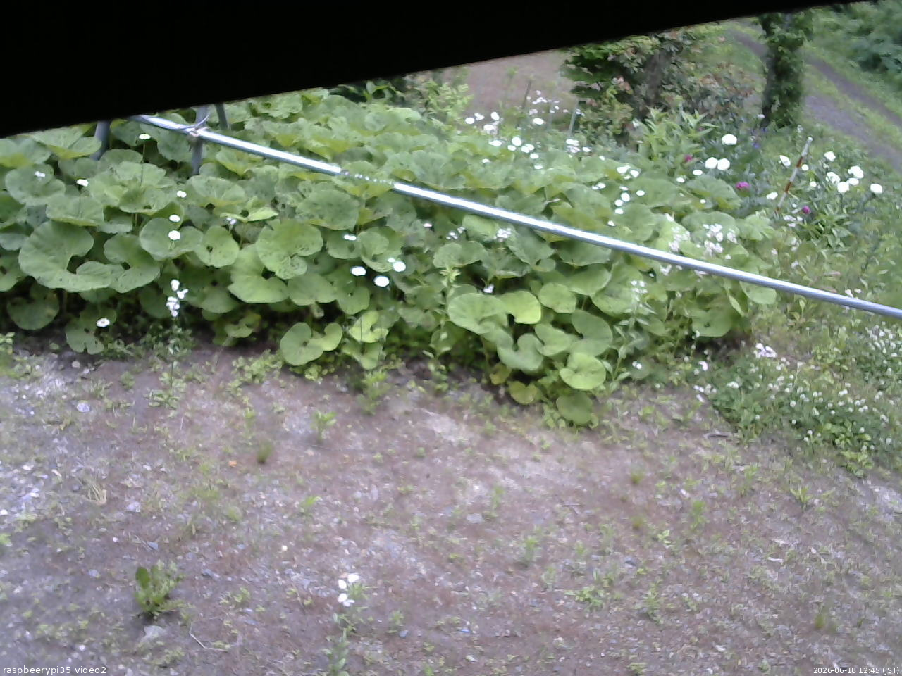 長野県菅平高原 ゆたか山荘 駐車場 2026/06/18 12:45