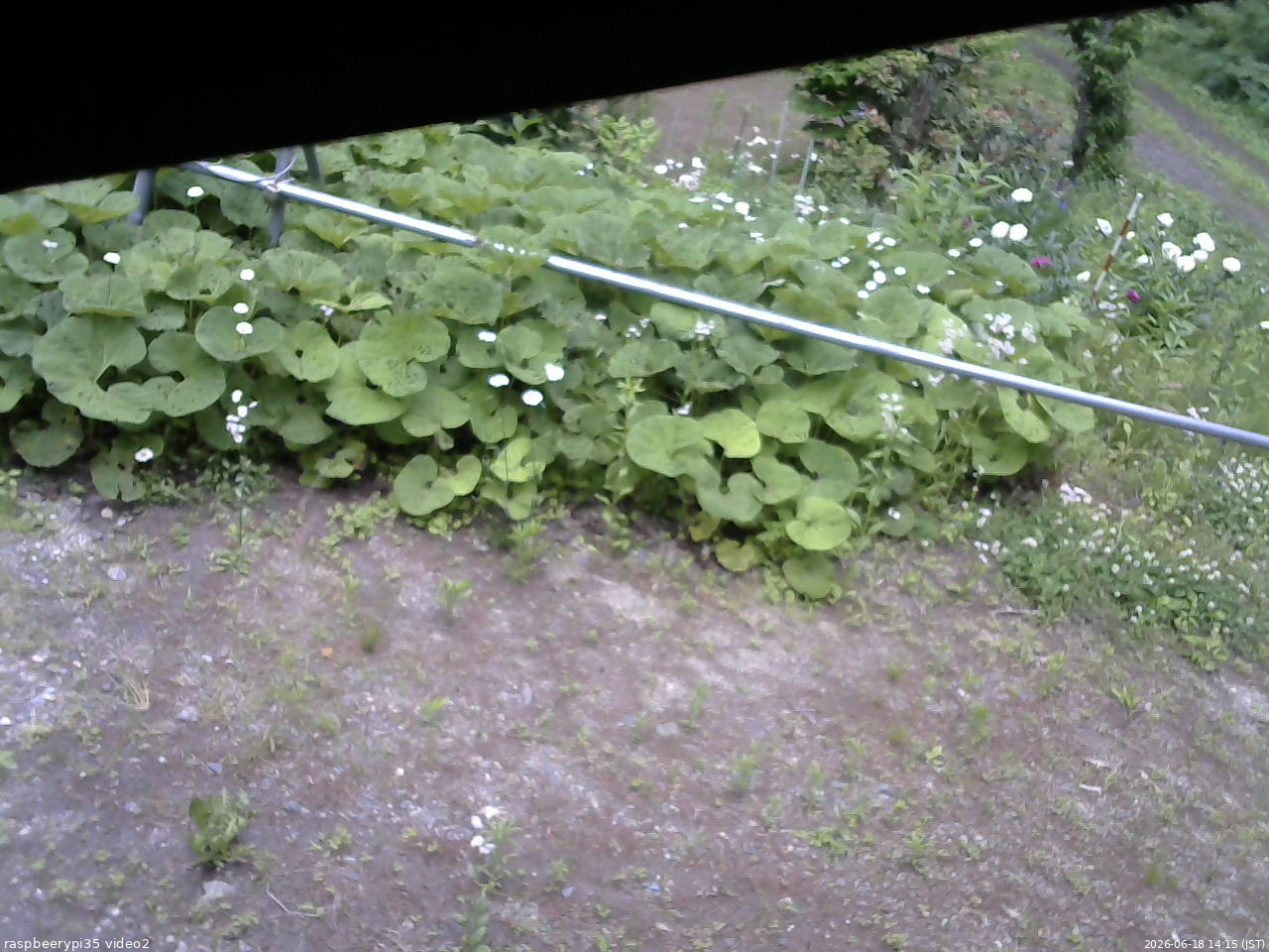 長野県菅平高原 ゆたか山荘 駐車場 2026/06/18 14:15