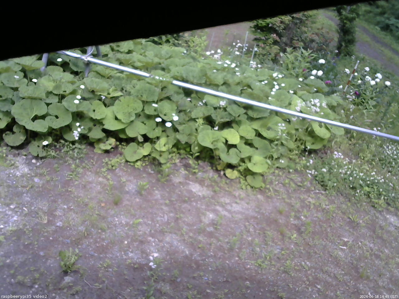 長野県菅平高原 ゆたか山荘 駐車場 2026/06/18 14:45