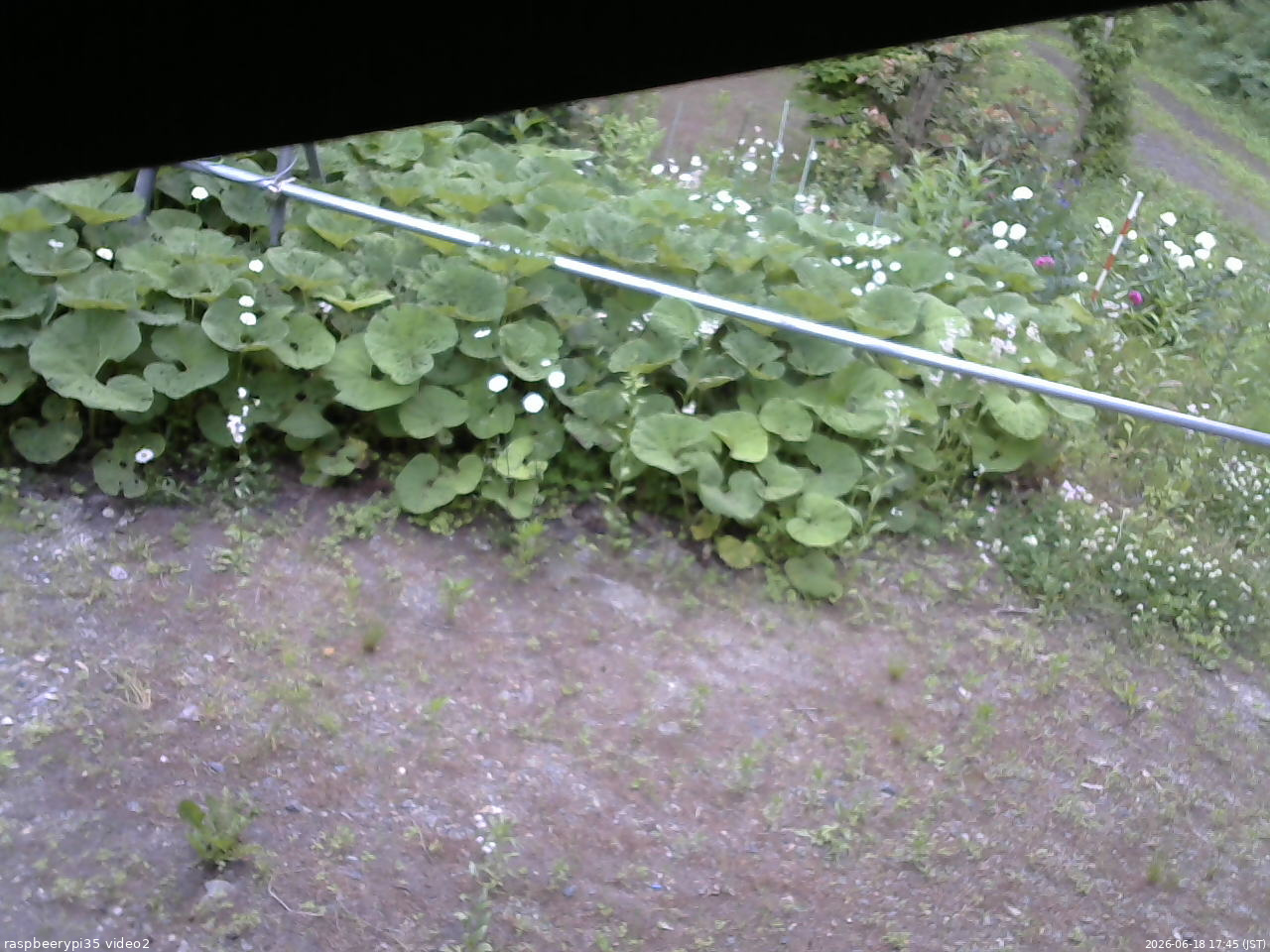 長野県菅平高原 ゆたか山荘 駐車場 2026/06/18 17:45
