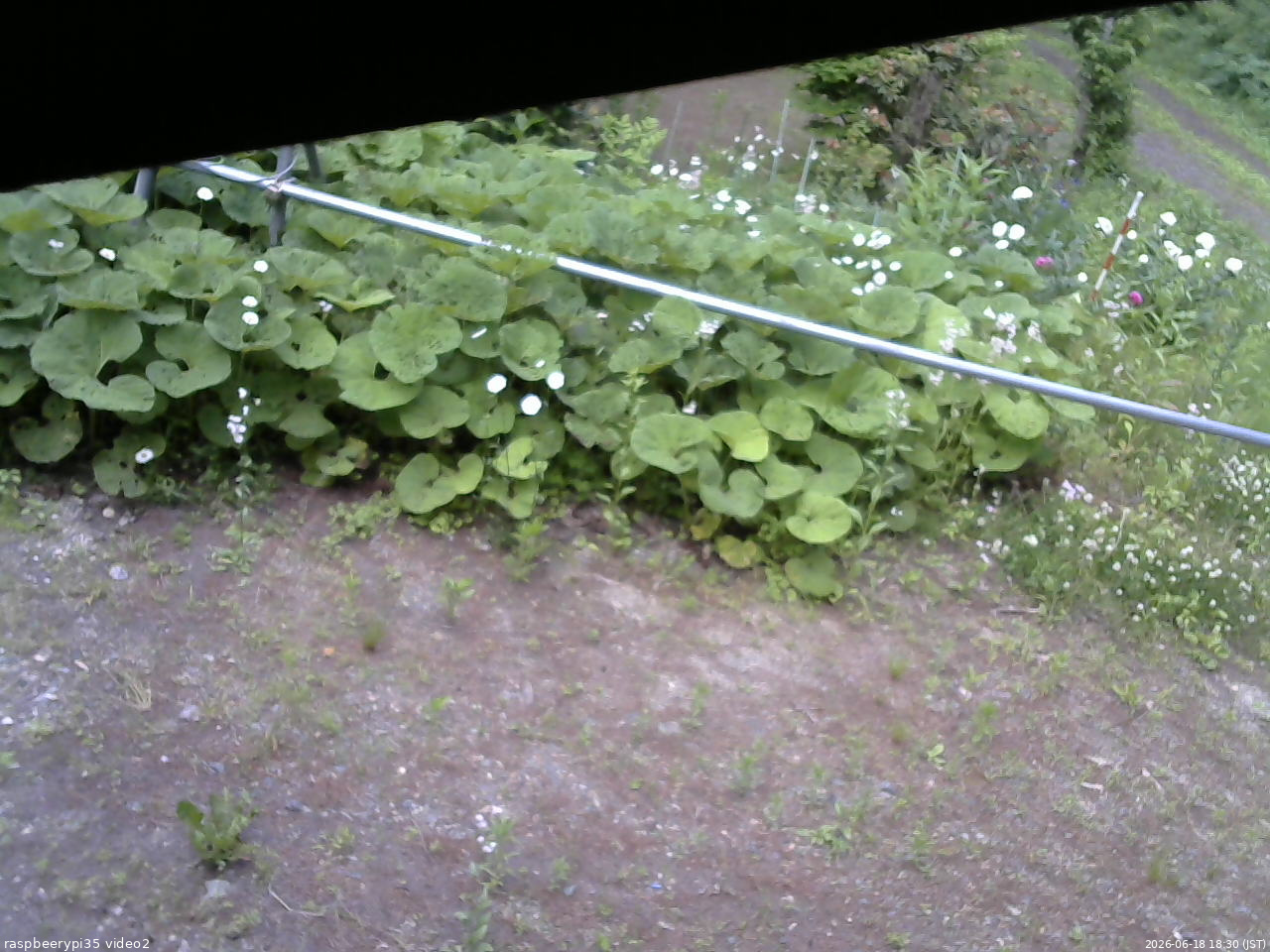 長野県菅平高原 ゆたか山荘 駐車場 2026/06/18 18:30