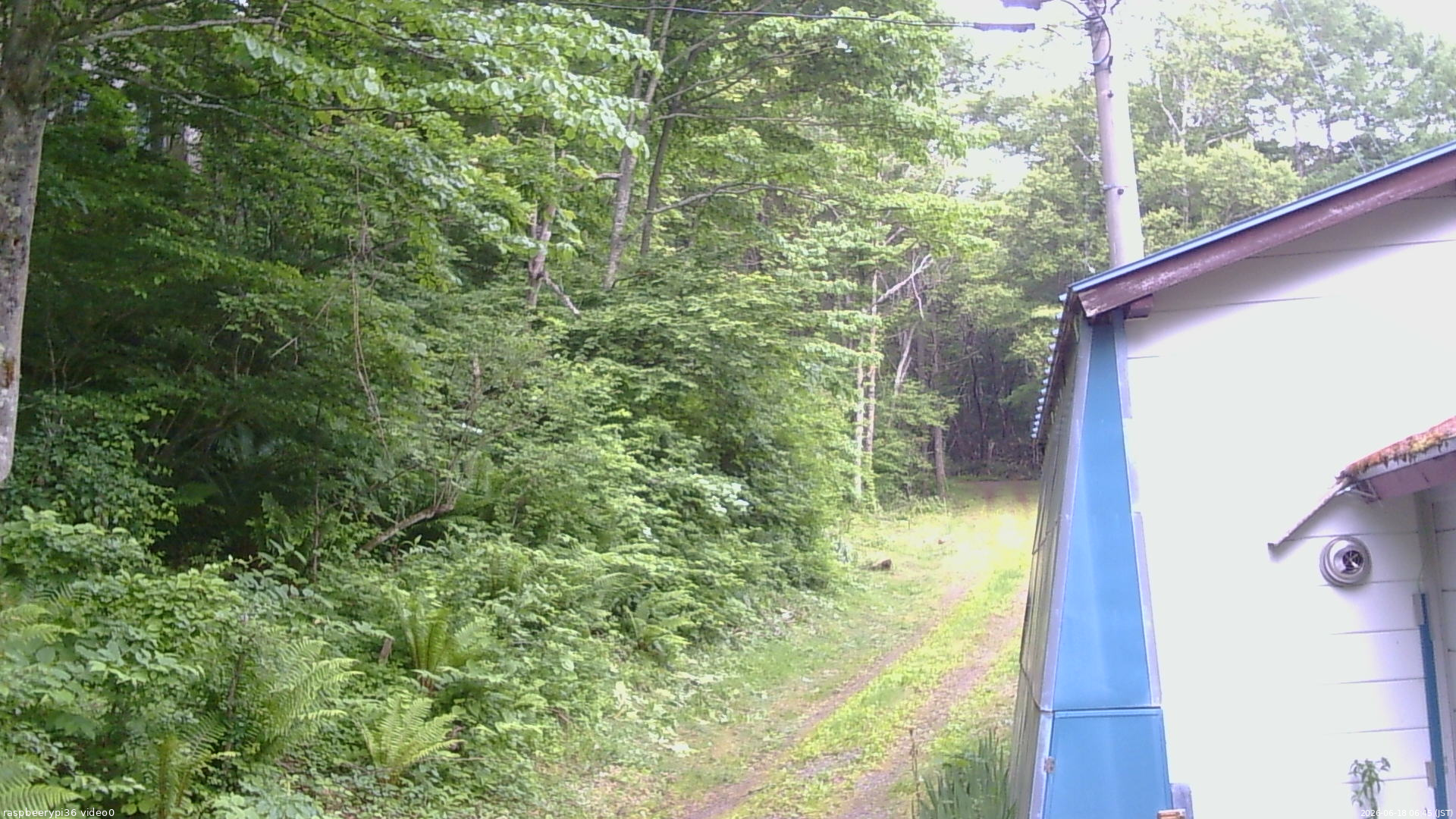 長野県菅平高原 ゆたか山荘 ゆたか山荘 2026/06/18 06:45