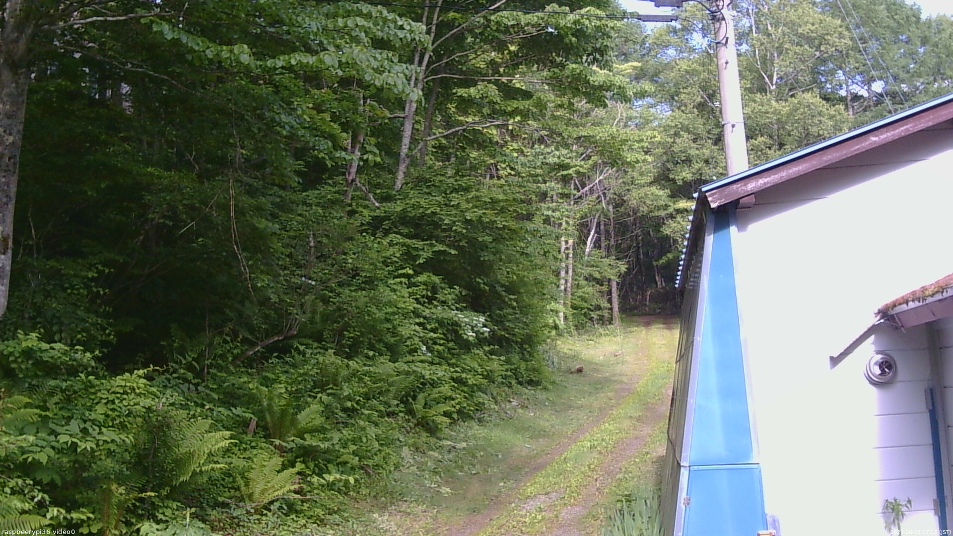 長野県菅平高原 ゆたか山荘 ゆたか山荘 2026/06/18 07:30