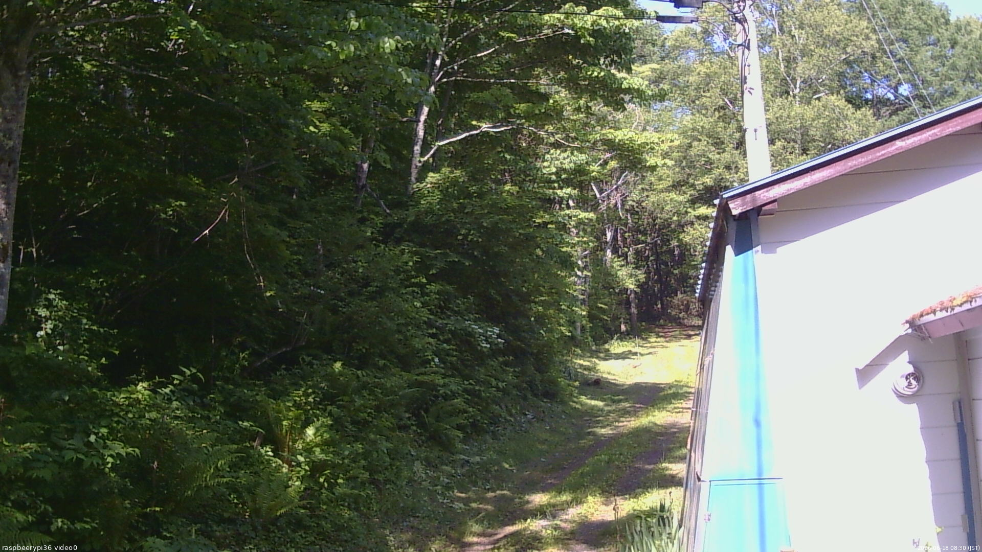 長野県菅平高原 ゆたか山荘 ゆたか山荘 2026/06/18 08:30