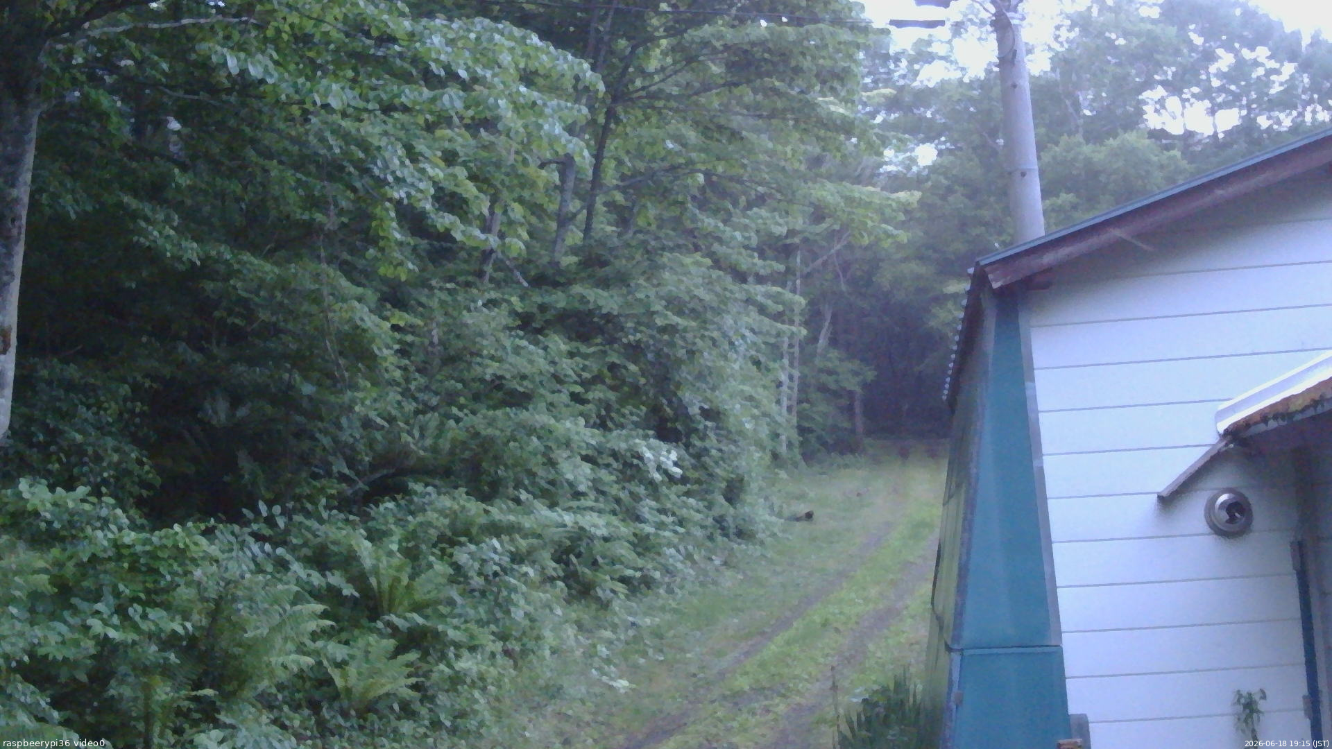長野県菅平高原 ゆたか山荘 ゆたか山荘 2026/06/18 19:15