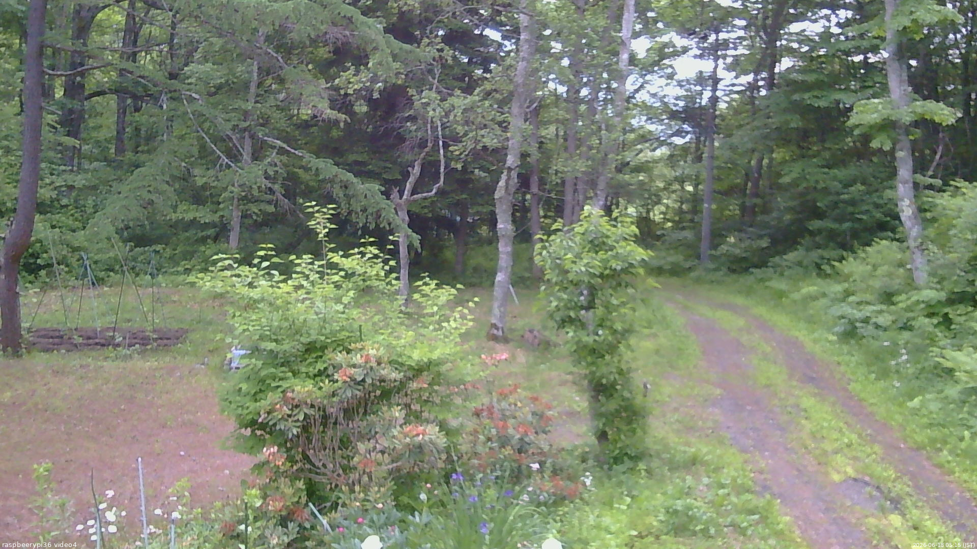 長野県菅平高原 ゆたか山荘 坂上 2026/06/18 05:15
