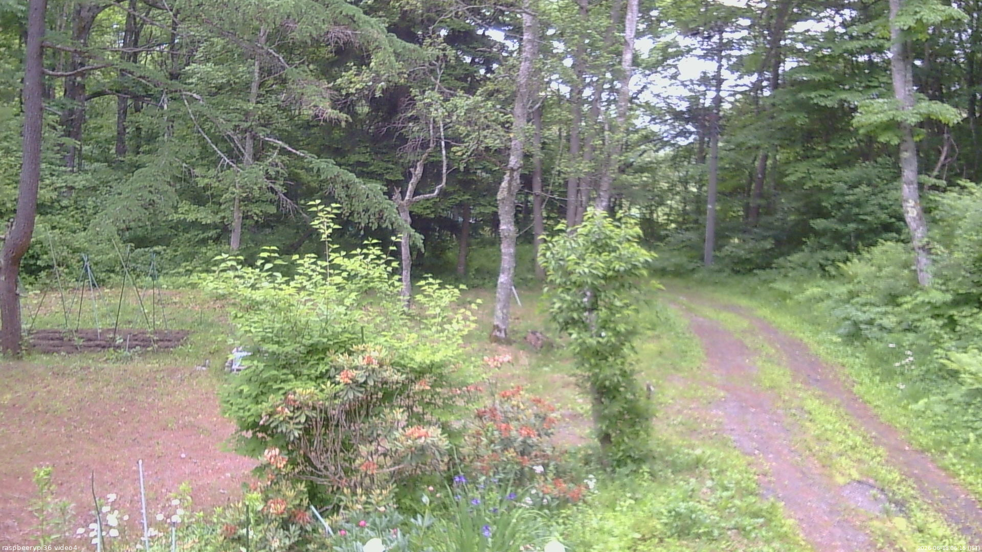 長野県菅平高原 ゆたか山荘 坂上 2026/06/18 06:15