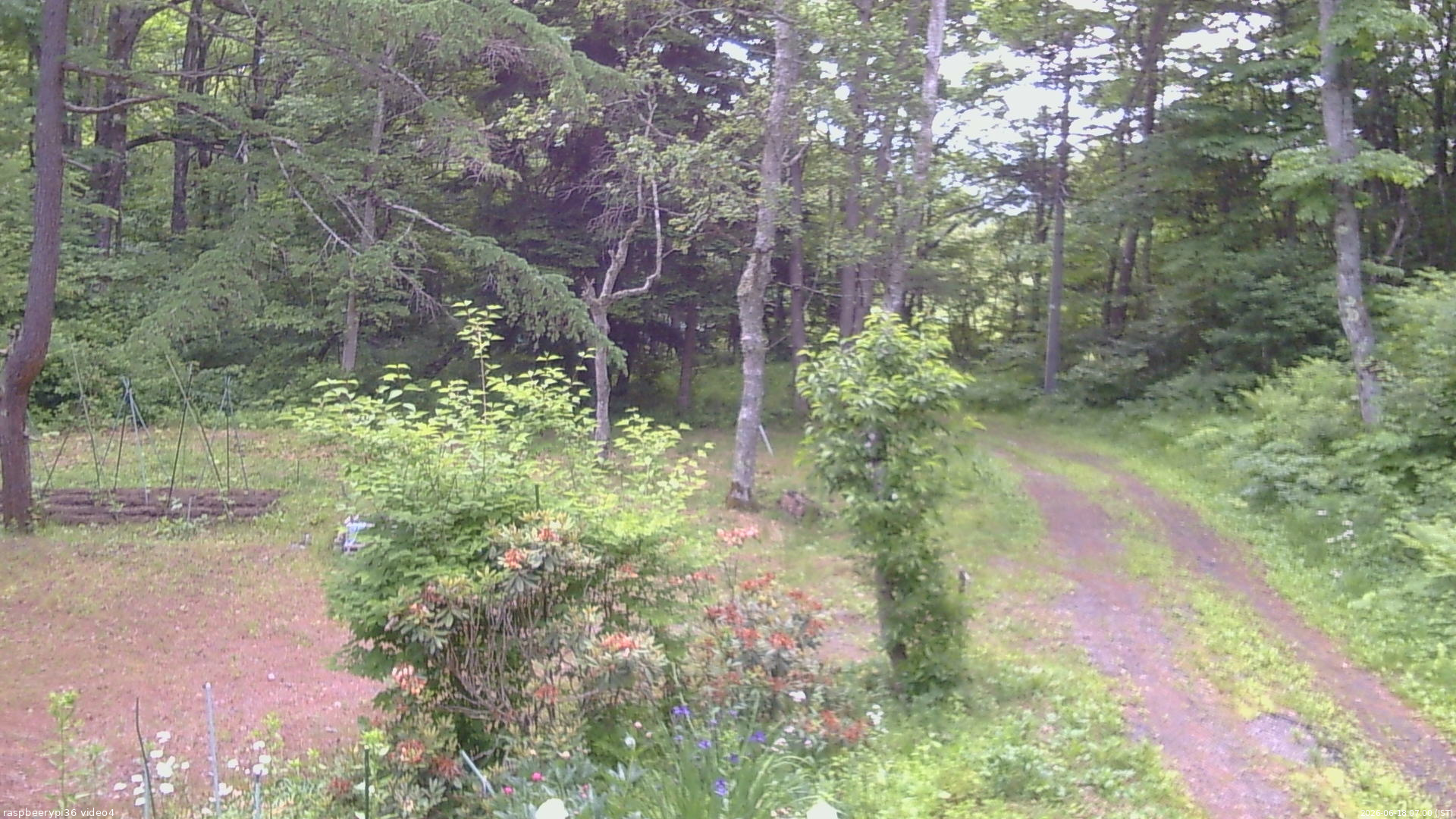 長野県菅平高原 ゆたか山荘 坂上 2026/06/18 07:00