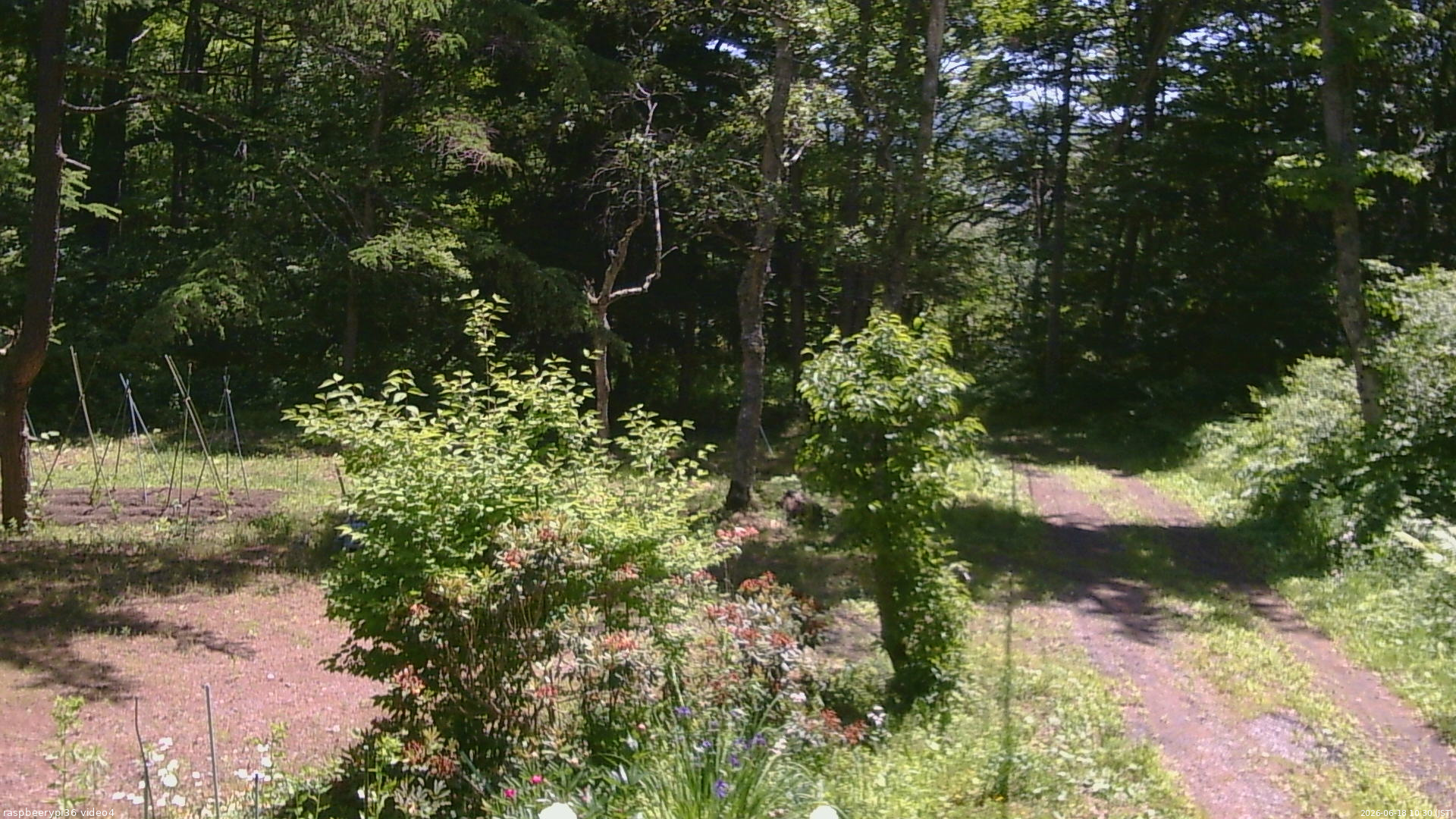 長野県菅平高原 ゆたか山荘 坂上 2026/06/18 10:30