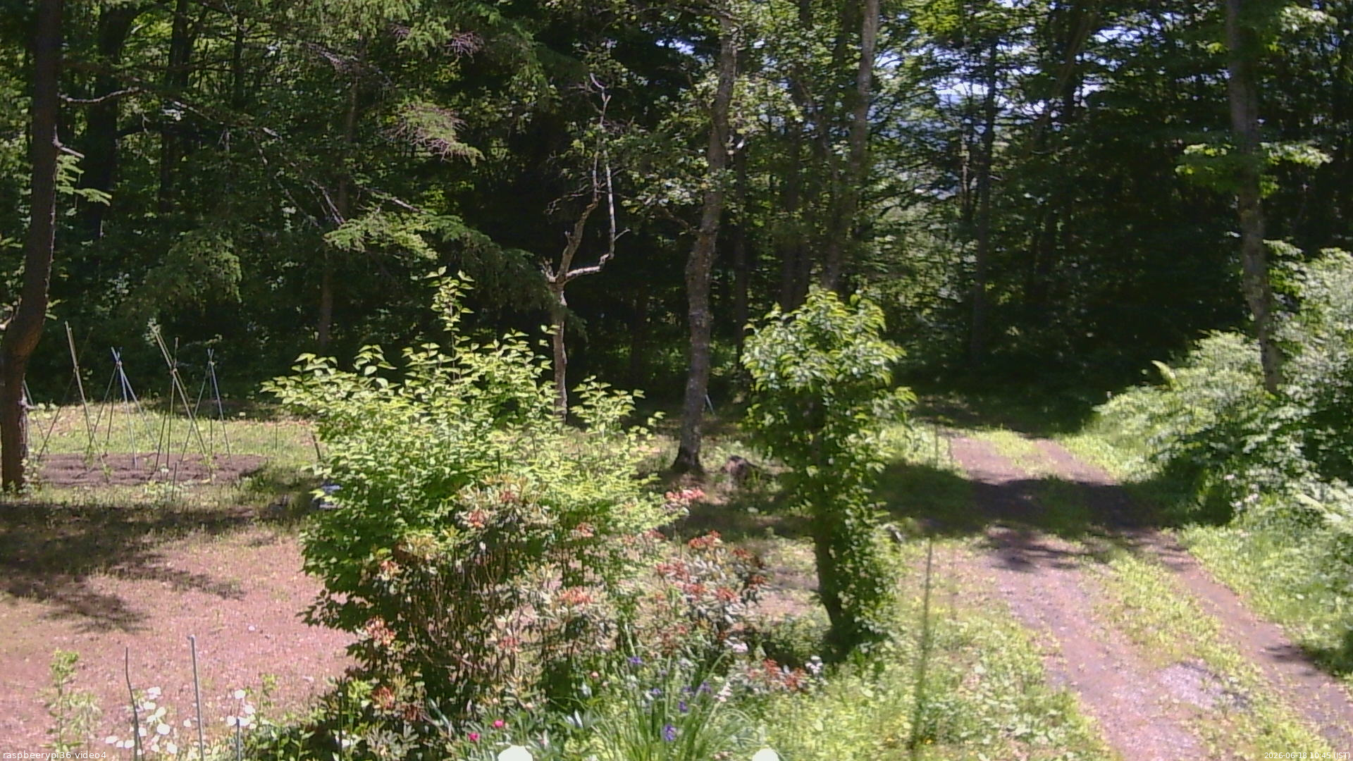 長野県菅平高原 ゆたか山荘 坂上 2026/06/18 10:45