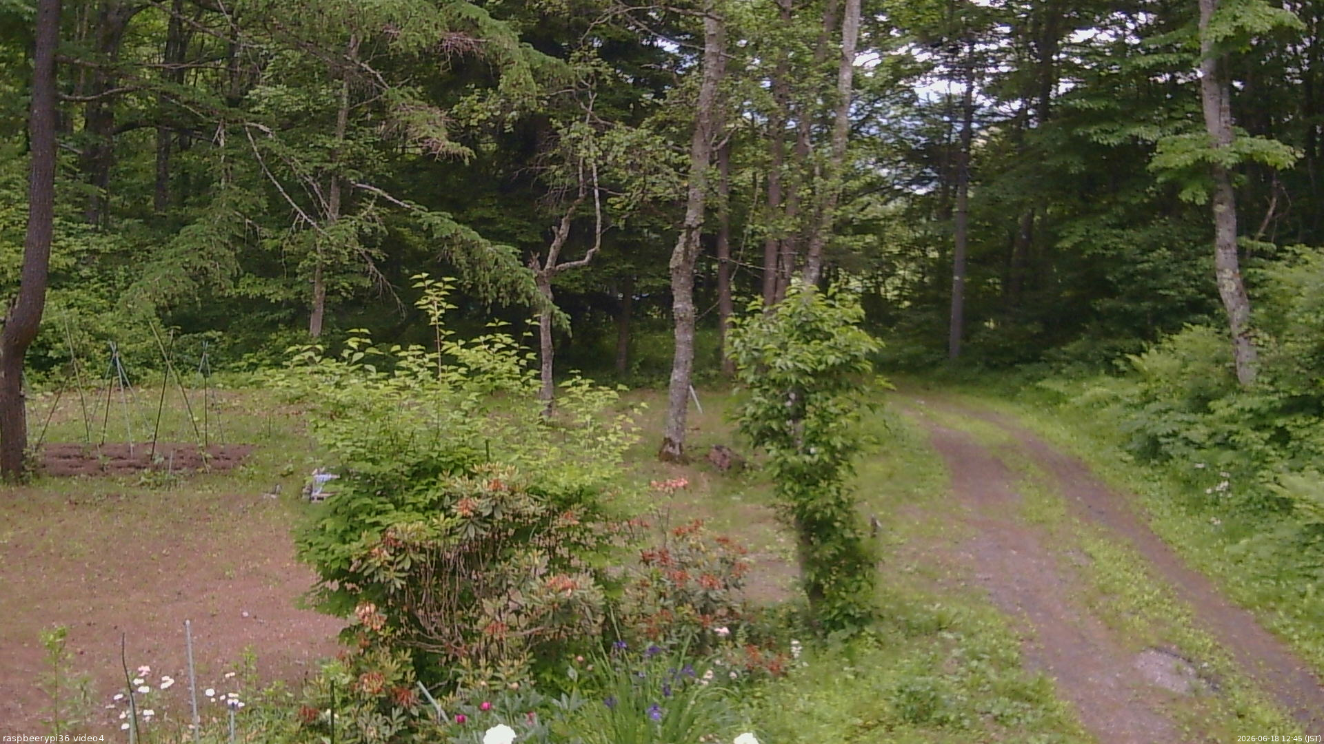 長野県菅平高原 ゆたか山荘 坂上 2026/06/18 12:45