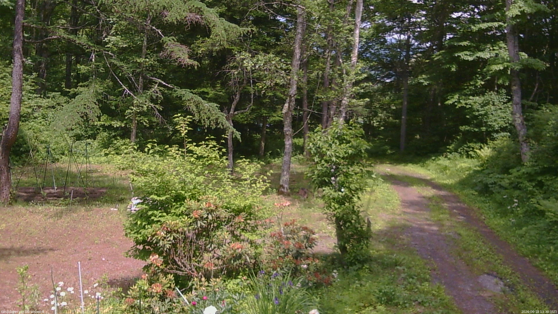 長野県菅平高原 ゆたか山荘 坂上 2026/06/18 13:30